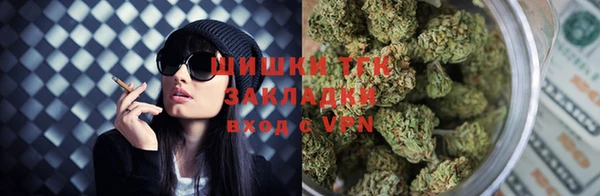 хмурый Инсар