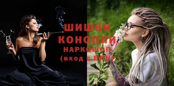 дживик Саяногорск