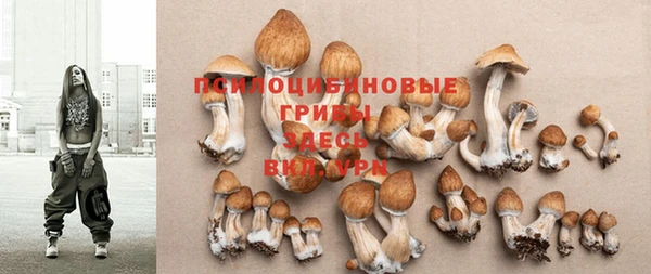 дживик Саяногорск
